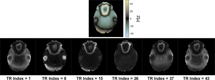 FIGURE 2