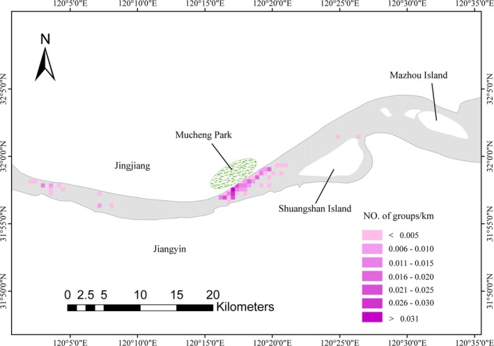 FIGURE 4