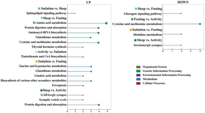 FIGURE 3