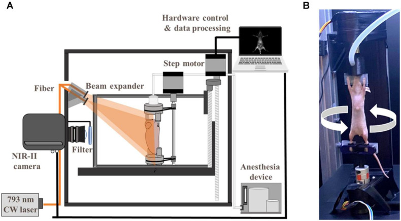 Figure 5