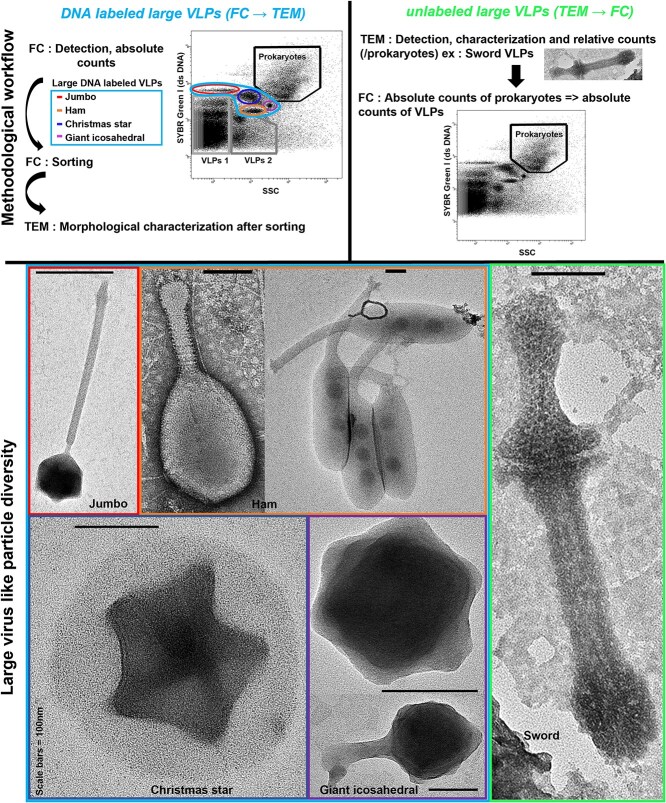 Figure 15