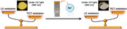 Figure 8