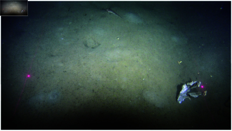 Figure 49