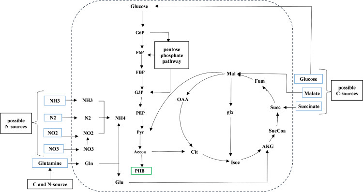 Figure 11