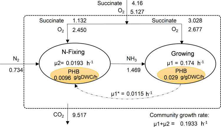 Figure 13