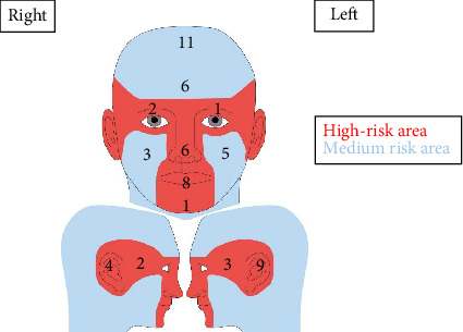Figure 8