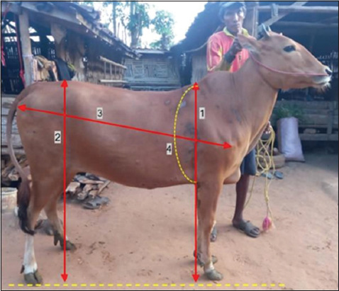 Figure 2