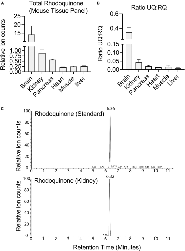 Figure 7