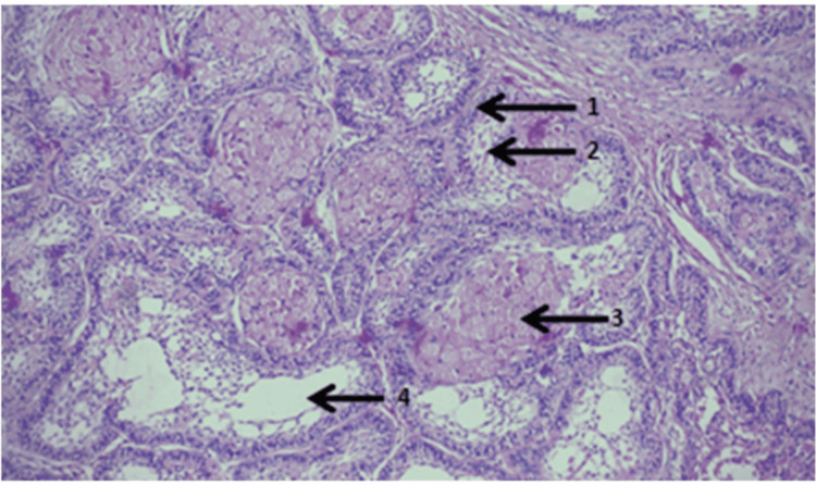 Figure 9