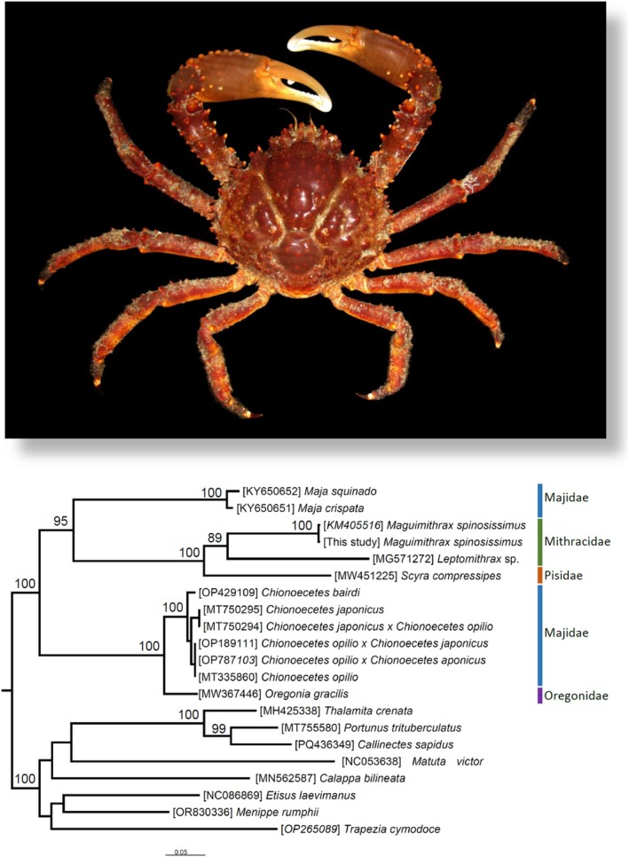 Figure 3