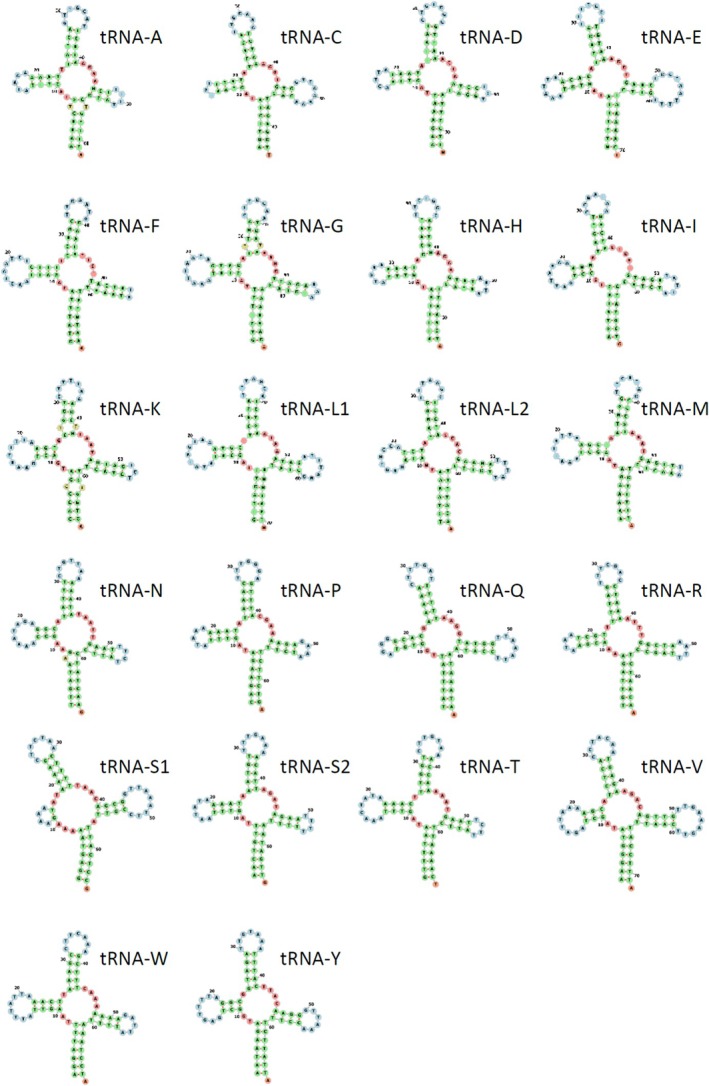 Figure 5