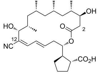 Figure 26