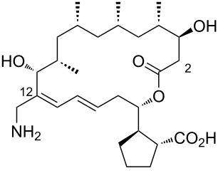 Figure 27