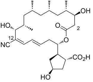 Figure 29