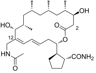Figure 31
