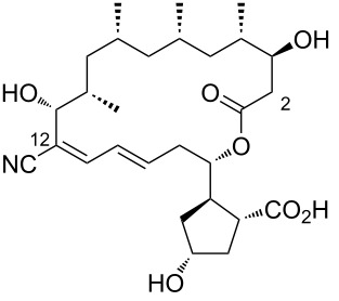Figure 32