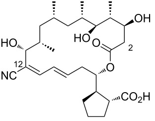 Figure 40