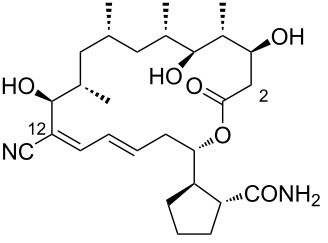 Figure 41