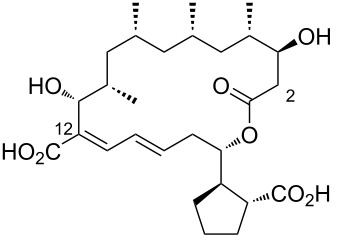 Figure 44