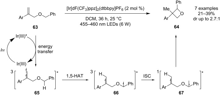 Figure 22