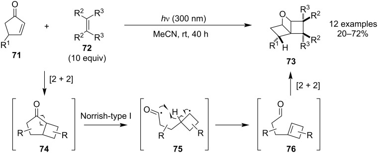 Figure 24