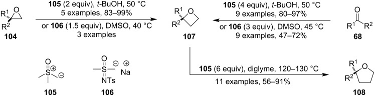 Figure 30