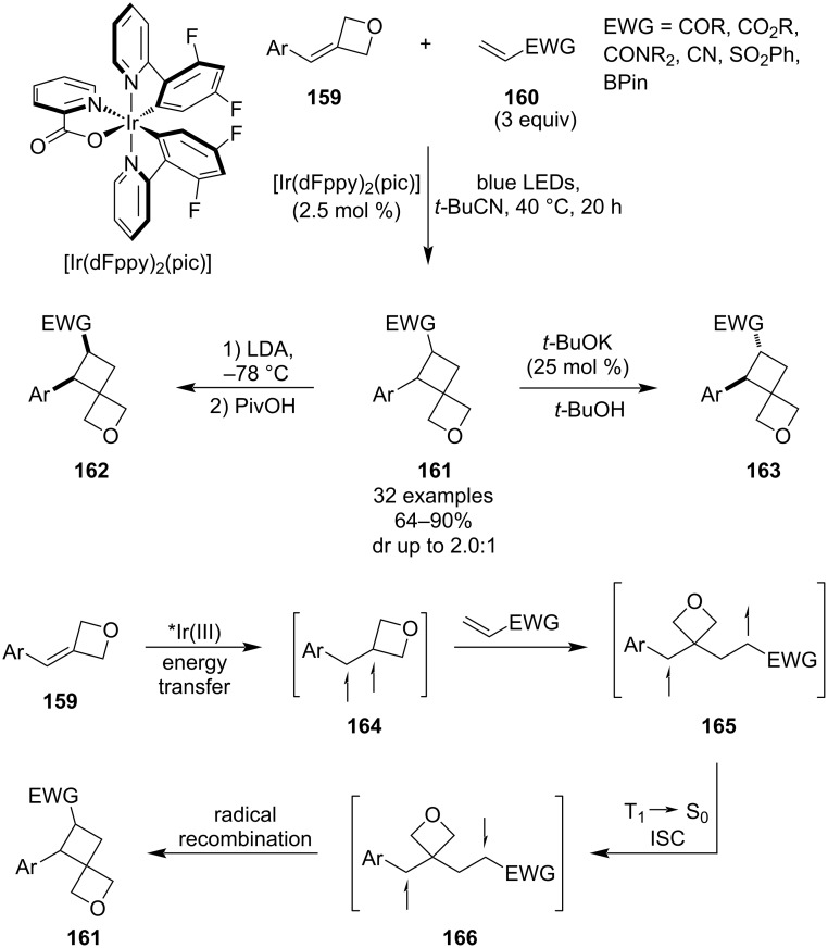 Figure 44