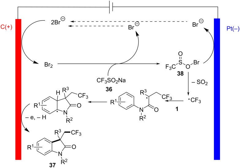 Figure 20