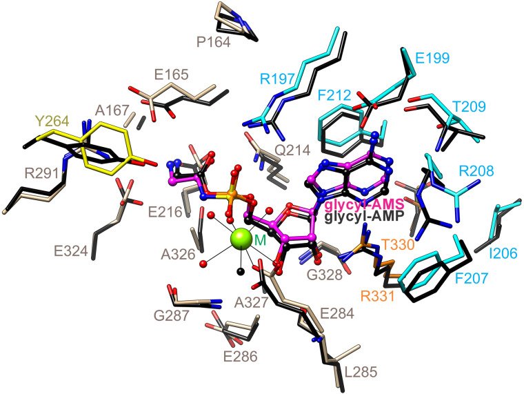 Figure 6