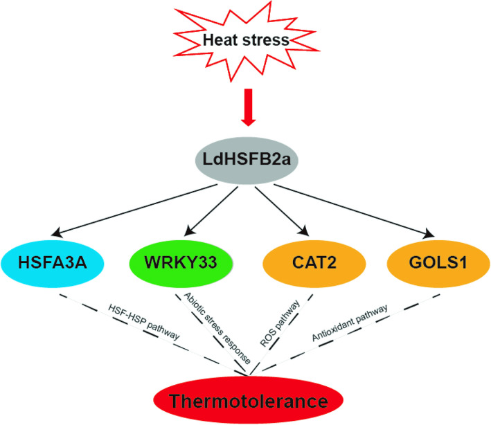 Figure 8