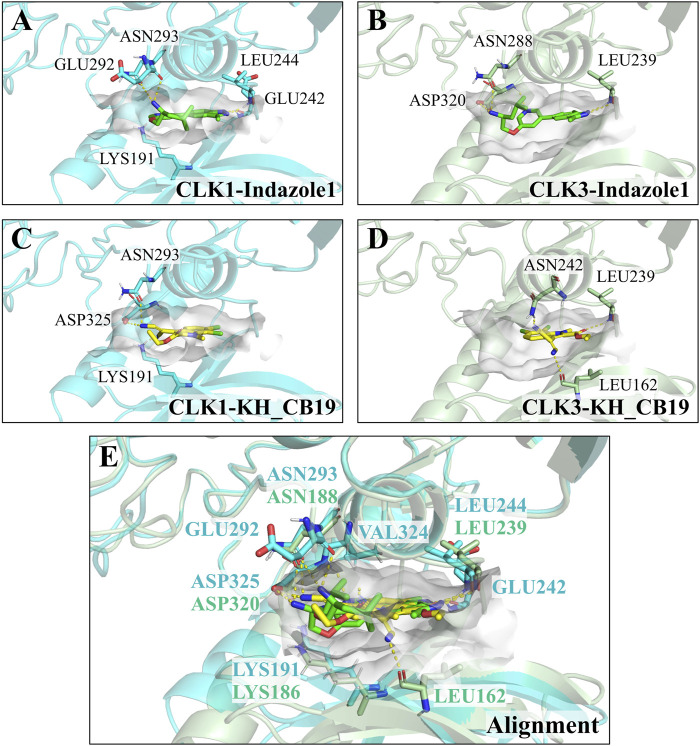 Figure 4
