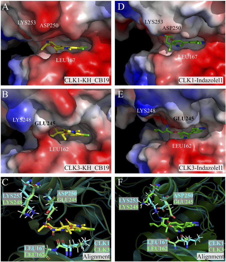 Figure 15
