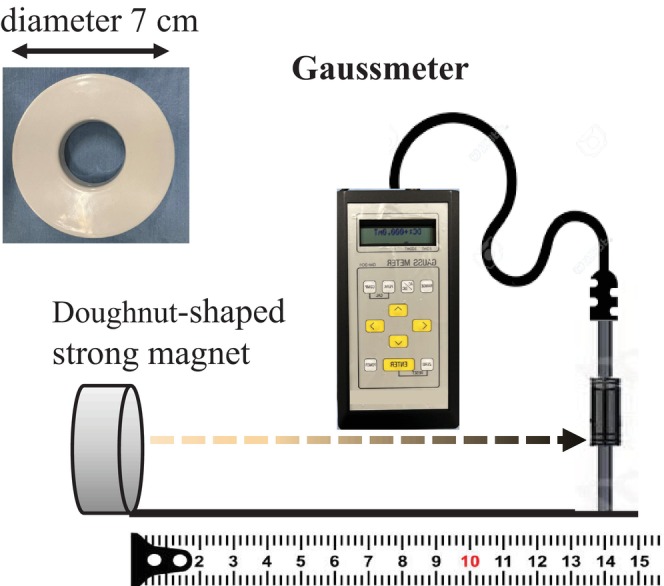 FIGURE 2