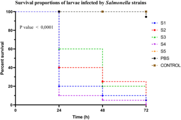 Figure 7