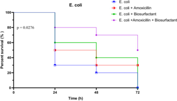 Figure 20