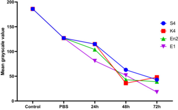 Figure 14