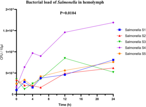 Figure 11