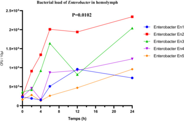 Figure 12