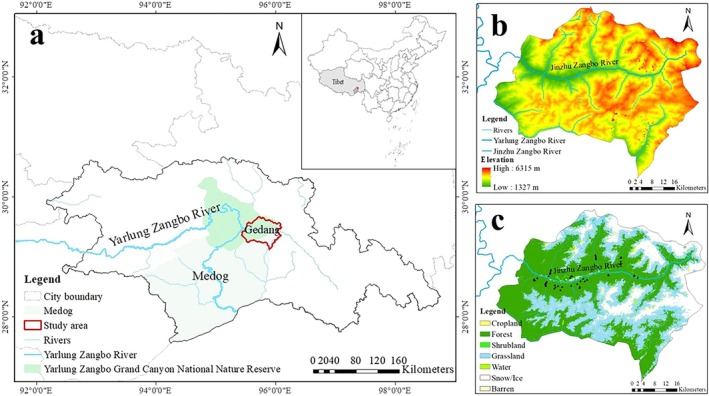 FIGURE 1