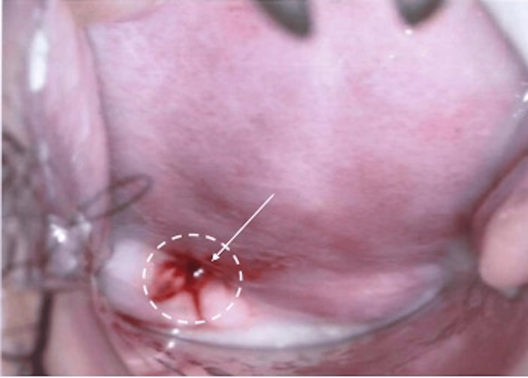 Figure 6