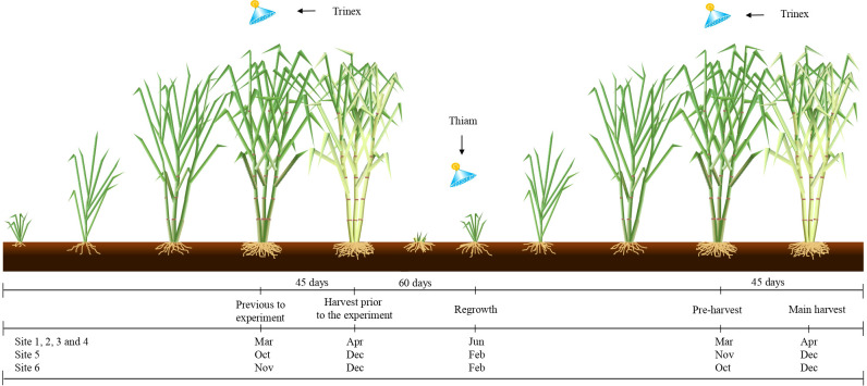 Figure 2