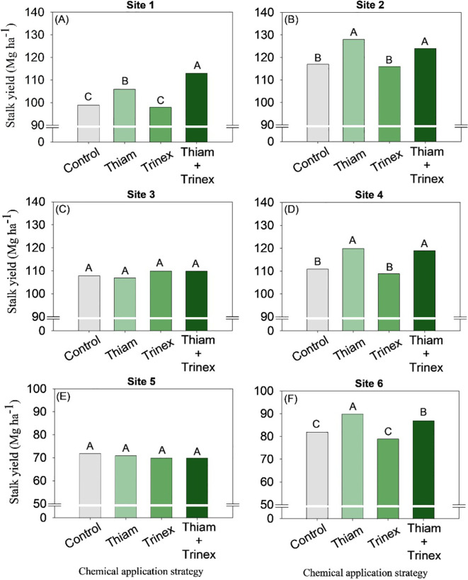 Figure 4