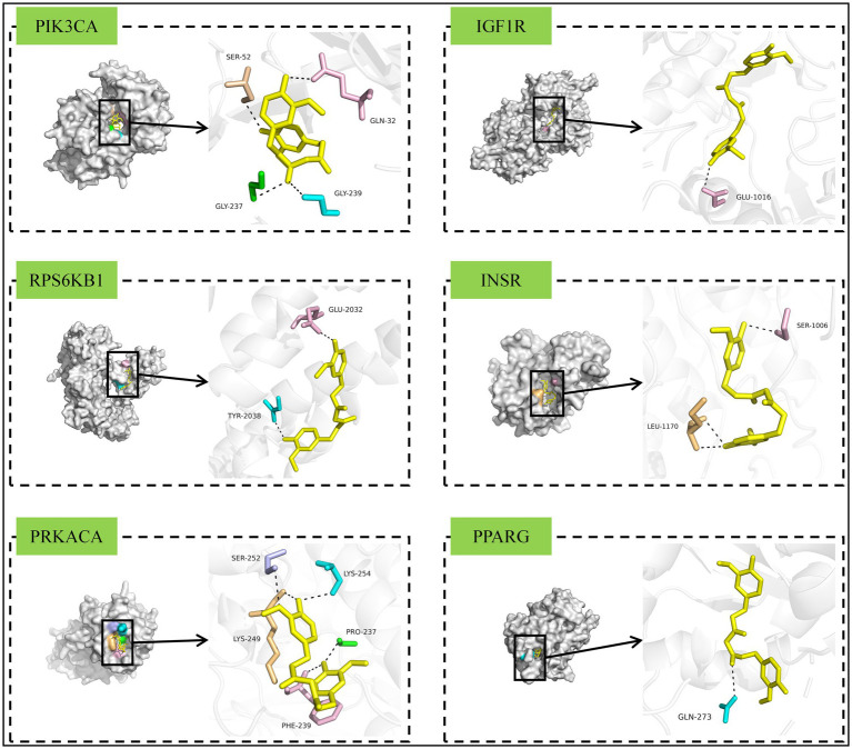 Figure 10