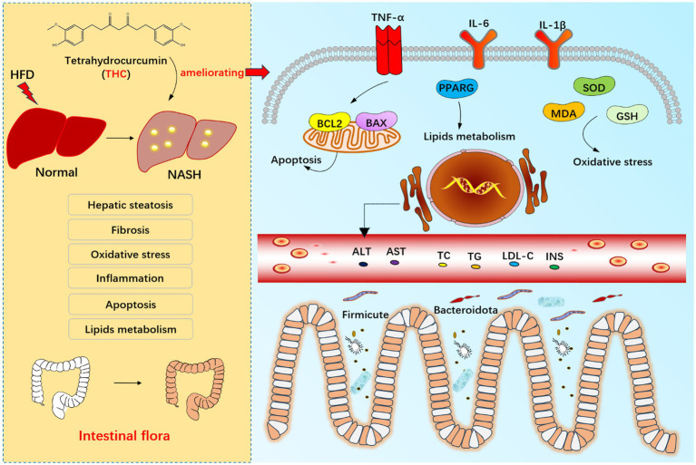 Figure 16