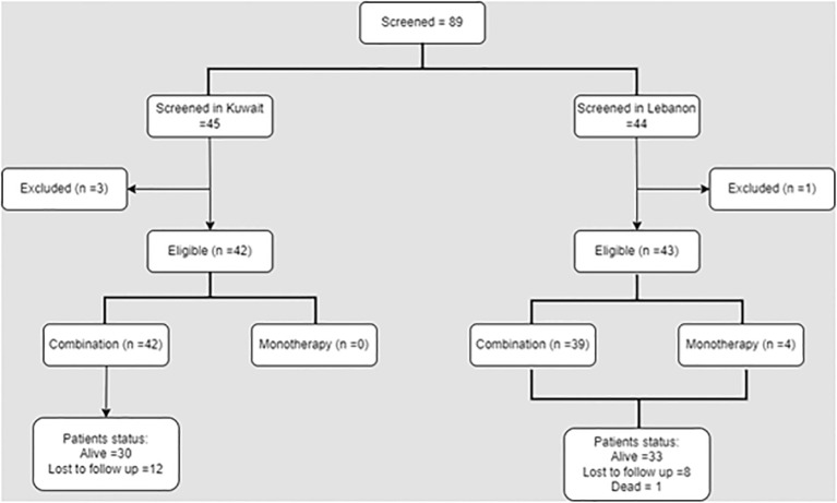 Figure 1