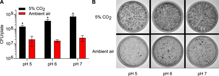 Fig 4