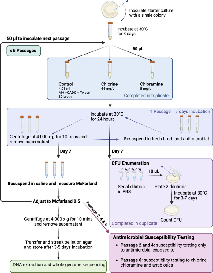 Fig 4