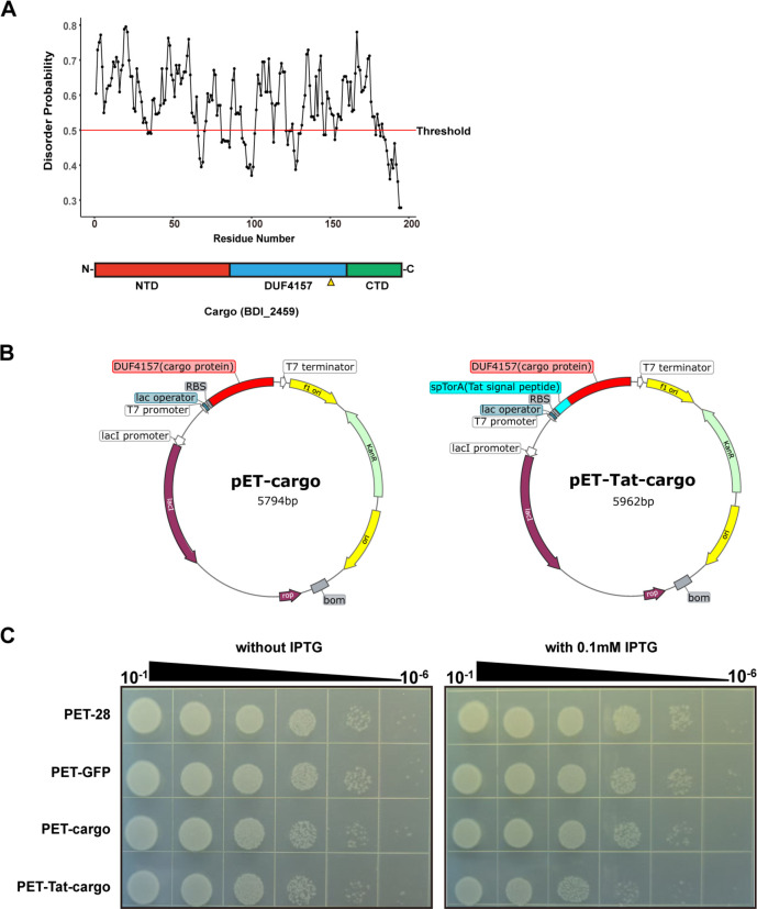 Fig 6