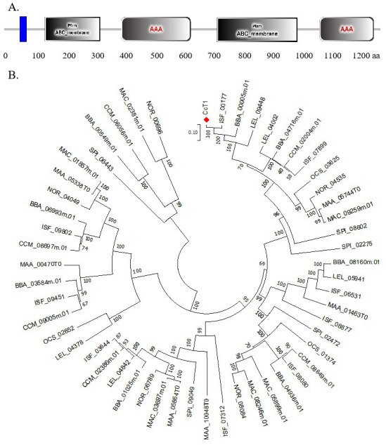 Fig 2