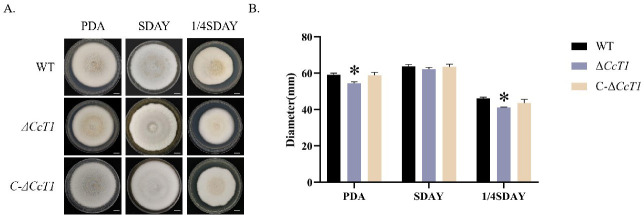 Fig 4
